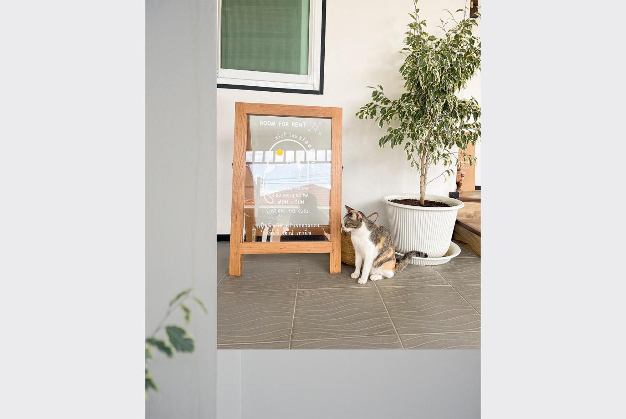 Bed and Breakfast Sleepy House Chiang Rai Exterior foto