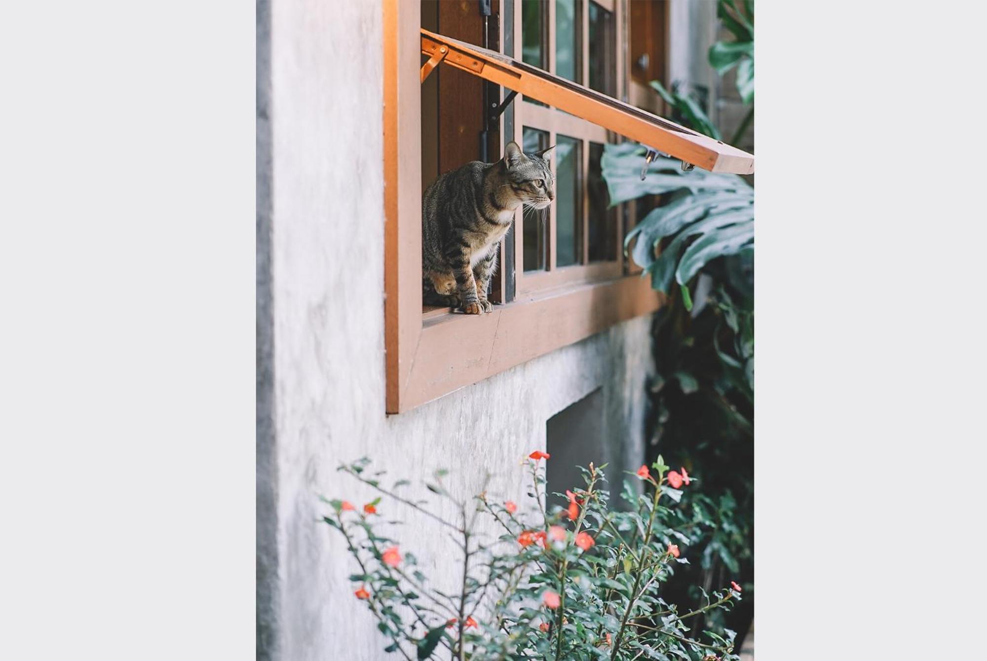 Bed and Breakfast Sleepy House Chiang Rai Exterior foto