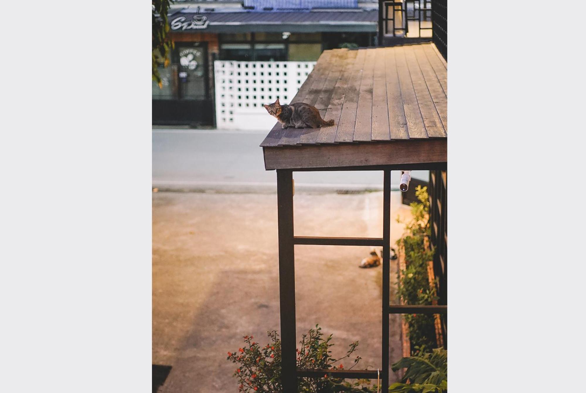 Bed and Breakfast Sleepy House Chiang Rai Exterior foto